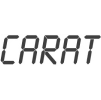 Geschäftsführer CARAT GmbH Logo