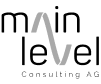 Vorstand MainLevel Consulting AG Logo